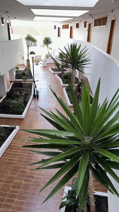 Ferienwohnung Modern,Strandnaehe, Club Olympus, Garten City Tenerife ปลายา ฟัญญาเบ ภายนอก รูปภาพ